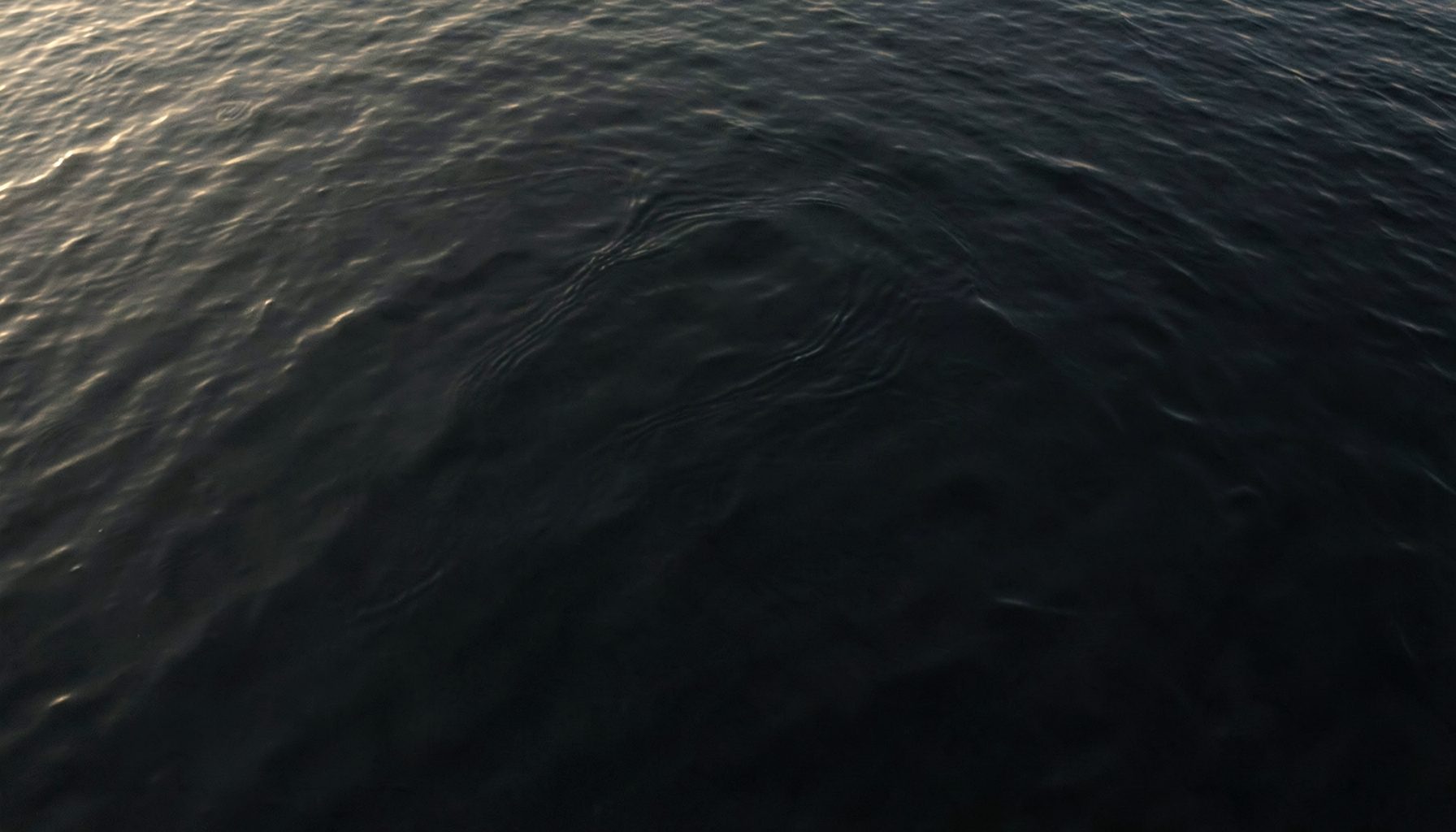 Abstract aerial view of calm dark water with faint ripples catching pale golden light, evoking bilge water treatment at a conceptual scale.